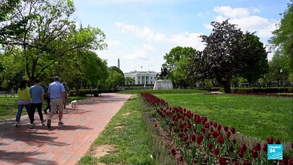 ¿Por qué EE. UU. descertificó –con condiciones– a Colombia en su lucha antidrogas?