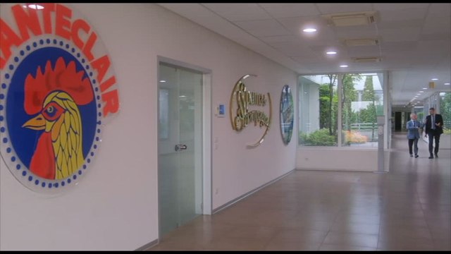 Il Gruppo DESA presenta il suo primo bilancio di sostenibilità