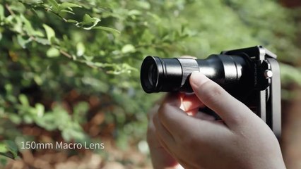 Apexel TeleMacro Lens Review – Zoom & Macro in One Handheld Lens