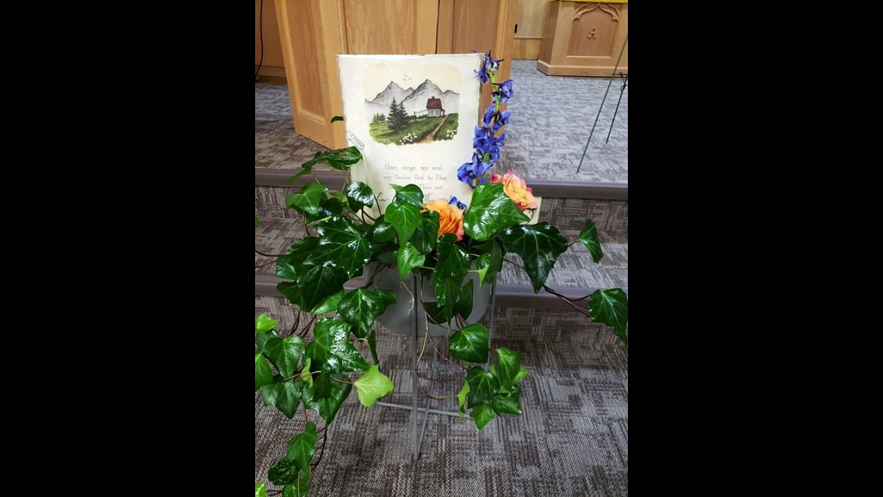 Flowers and Cards for Mike