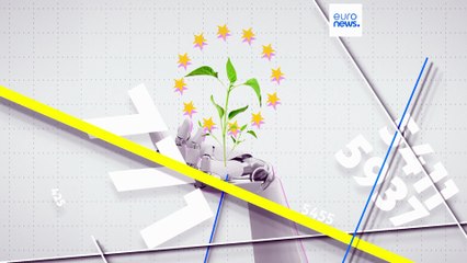 Transition écologique : quel pays européen mène la course à l'énergie verte ?
