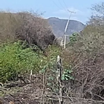 Moradores da comunidade Malhada de Pedra, em São José do Bonfim, alertam para risco em poste inclinado