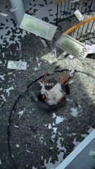 The power of money.💸