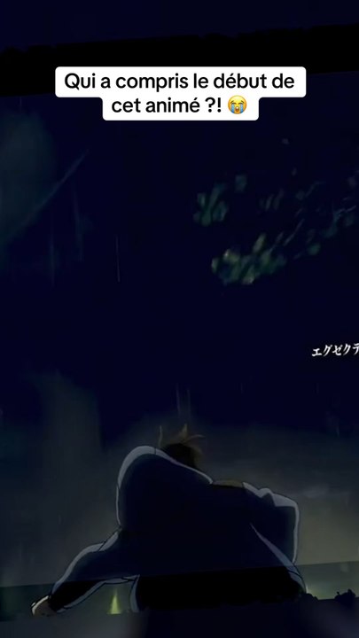 Qui a compris cet anime ?