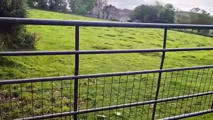 Man arrested on suspicion of murder following Ceredigion farm house fire