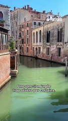 Des touristes bannis de Venise après avoir plongé dans un canal