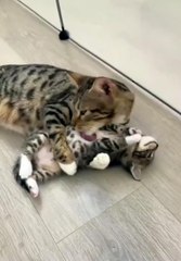 Mom cleans for the kid