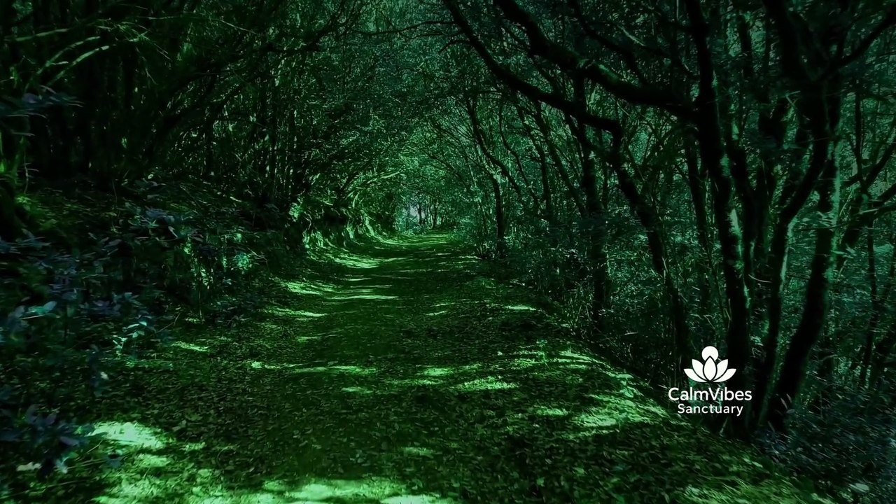 🌿 Relaxing Forest Path Ambience | Nature Sounds for Sleep, Meditation & Stress Relief