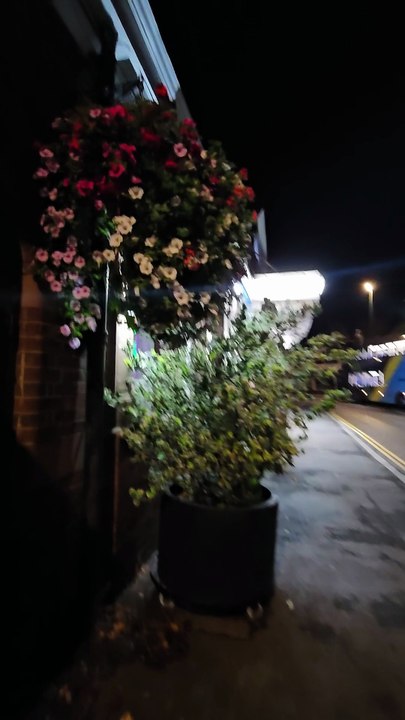 Tadworth buses & station hanging plants September 2025 uk