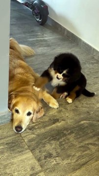 Viens jouer, on va rigoler !