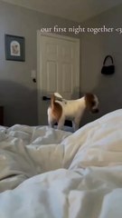 Sa première nuit hors du refuge, sans GPS ni moustiques.