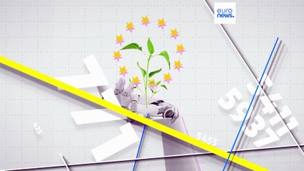 Welches europäische Land produziert am meisten erneuerbare Energien?