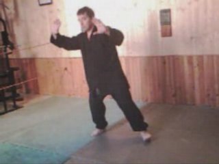 LES 16 TECHNIQUES et applications martiales