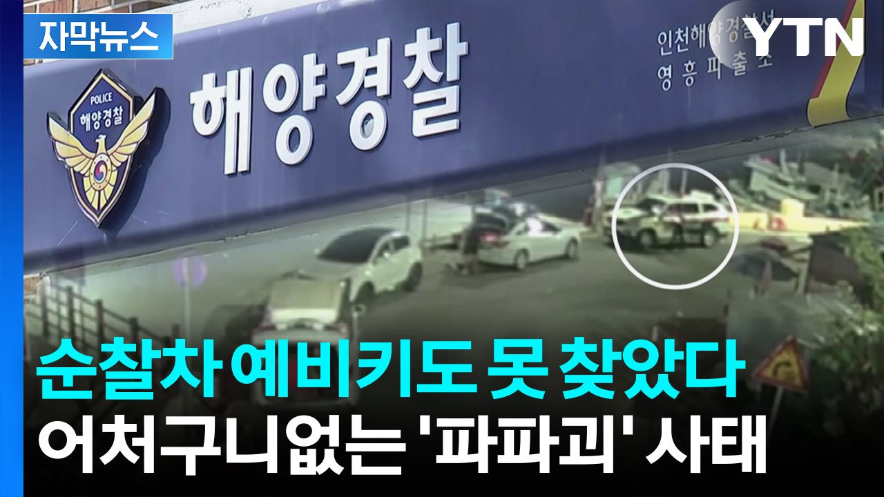 [자막뉴스] 일지 조작까지...줄줄이 터지는 '해경 순직 사고' 의혹  / YTN