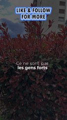 #motivation #BR3 #success #conseil #leçon (3)