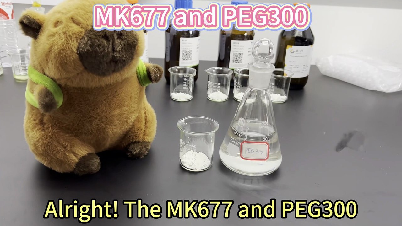 How well does MK677 dissolve in PEG300?