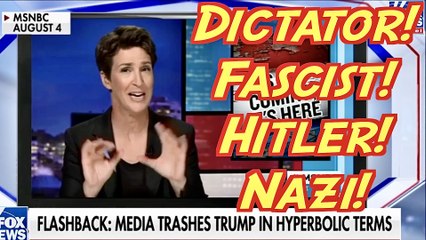 FASCIST!!! Compilation of Demcrats Demonizing Trump Supporters