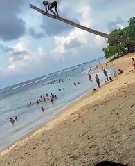 Discover the Beauty of Punta Uva 🌴