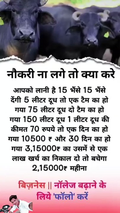 naukari Na Lage to kya karun #youtube #motivation #facts #reels #reel #facts #fb#upsc #ias #ytshorts