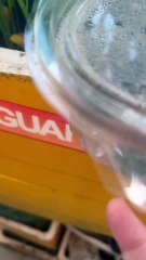 Take succulents from box