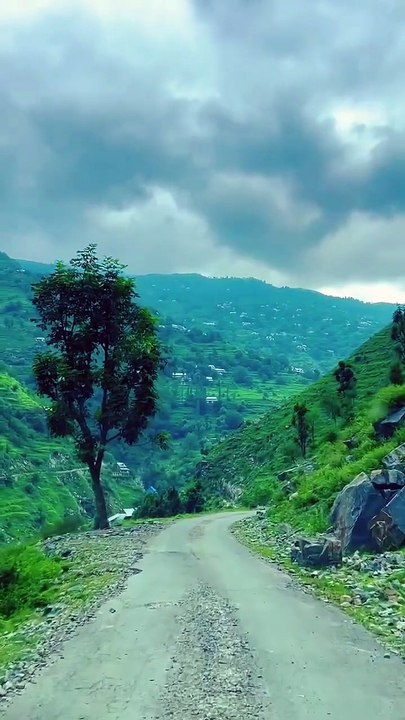 🌄 Lost in the serene beauty of Gurez Valley – where nature whispers its magic, and every moment feels timeless. 🍃✨