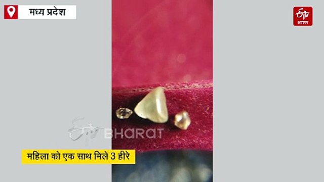 पन्ना में महिला को एक साथ मिले 3 हीरे, किस्मत बदली तो चेहरे पर आई लखपति वाली मुस्कान