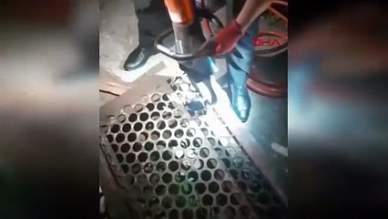 Mazgaldan kurtarıp, adını da Mazgal koydular!