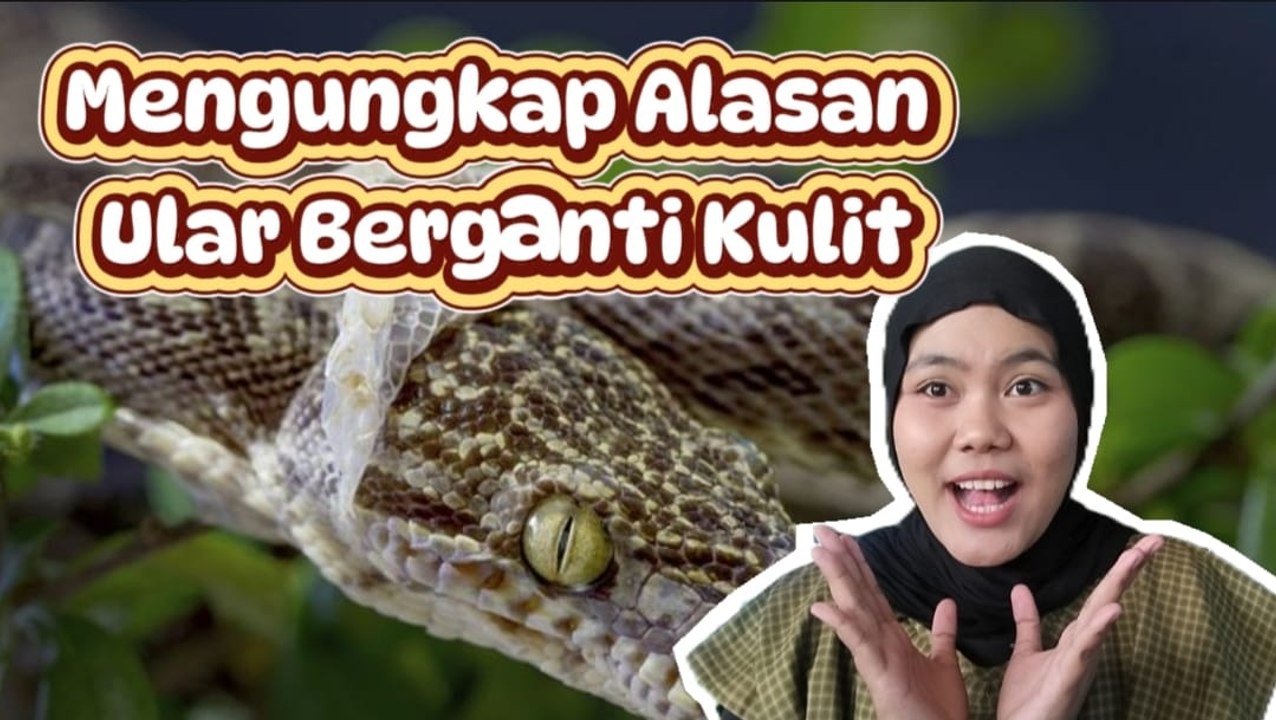 Mengungkap Alasan Ular Berganti Kulit dan Proses di Baliknya