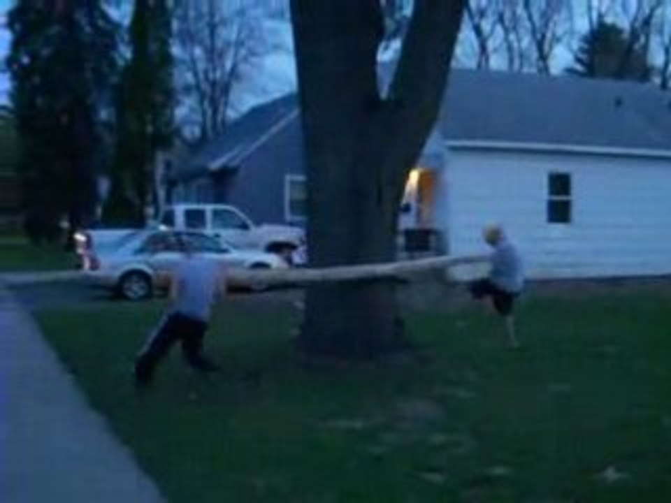 Les frères REGIS face à un arbre