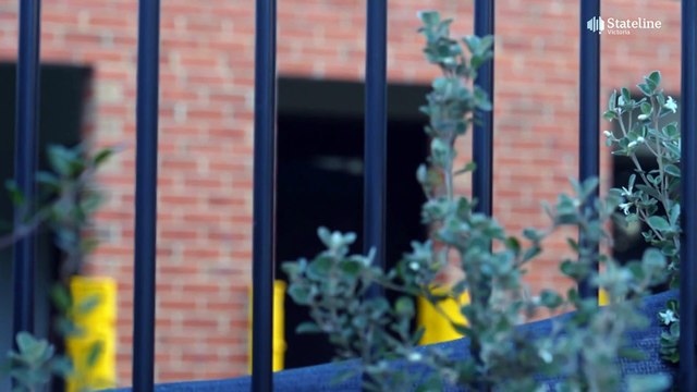 ABC investigation into sexual abuse claims finds worker did not know about being banned from working