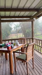 DEGUSTATION DE THE à Bois Chéri