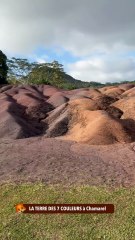LA BELLE TERRE DES 7 COULEURS à Chamarel