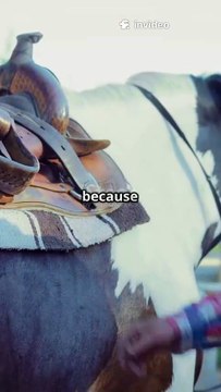 International Country Music Day 2025 🤠🎶 | Celebrating the Heart of Country Music