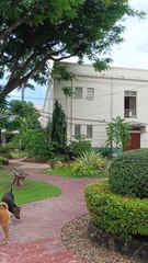 Cebu Capitol