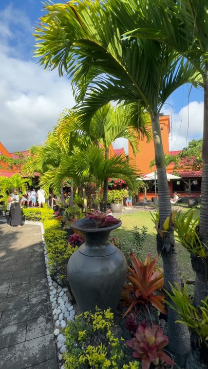 UNE DES DERNIERES forêts primaires du Monde