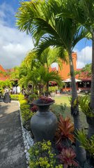 UNE DES DERNIERES forêts primaires du Monde