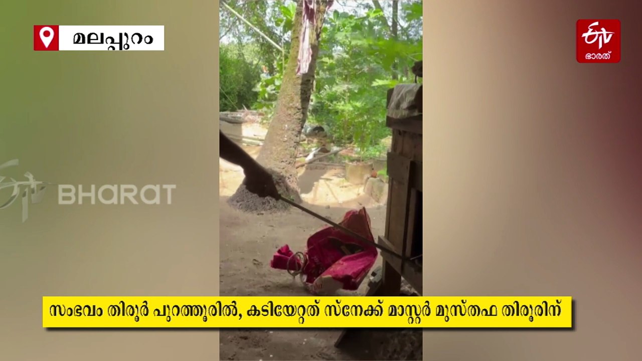 ചീറിയടുത്തു കയ്യില്‍ കടിച്ചു; മലപ്പുറത്ത് മലമ്പ...