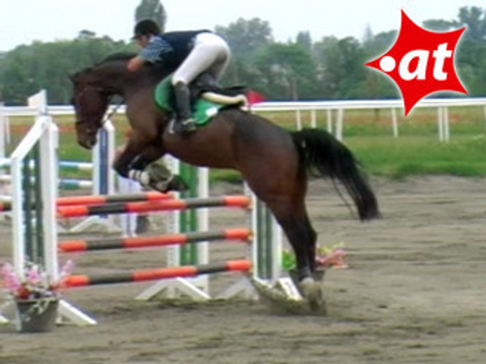 Josefine Matous, Springreiten, Kottingbrunn (2008-003)