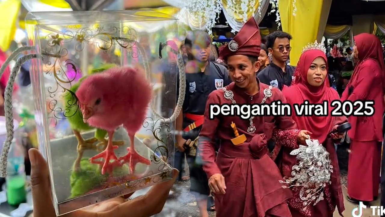 Bagi ‘doorgift’ anak ayam, rupanya ini niat ikhlas pengantin