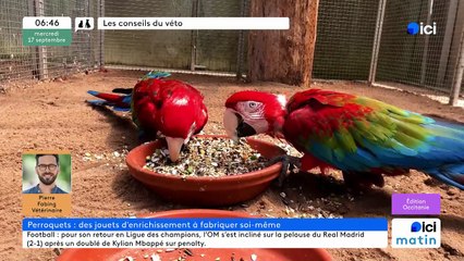 17/09/2025 - ici matin par ici Occitanie en vidéo