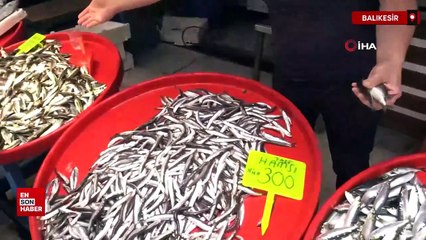 Balıkta bolluk beklentisi soğuk havalara kaldı