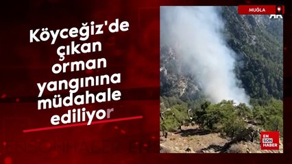 Köyceğiz'de çıkan orman yangınına müdahale ediliyor