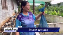 เลี้ยงกบ สร้างแรงบันดาลใจให้ชาวบ้านในชุมชน | เนชั่นทั่วไทย | 17 ก.ย. 68 | PART 2