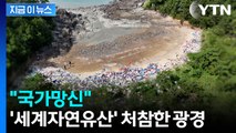 유네스코 세계자연유산인데...신안 섬 기막힌 상황 [지금이뉴스]  / YTN