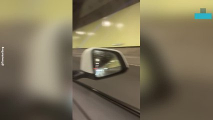 Kangaroo Spotted Running Along Freeway