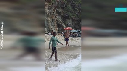 Hilarious Moment Dog Does His Business on a Beach