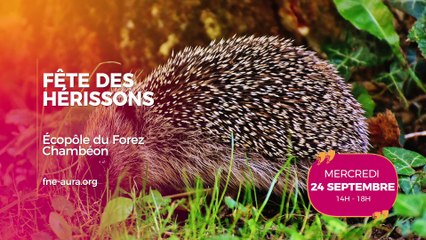 Agenda des Sorties du 22 au 24 septembre 2025