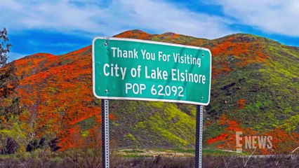 Body Found in Singer D4vd's Tesla Identified as 15 Year Old Girl _ E! News