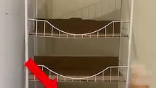 هذه القطط تعرف ترتيب نومها على السرير 😮 #shorts