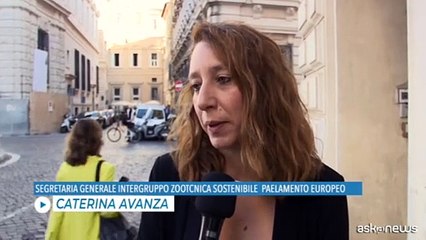 Alla Camera presentato il docufilm "World Without Cows"